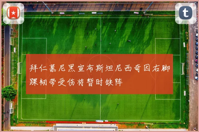 拜仁慕尼黑宣布斯坦尼西奇因右脚踝韧带受伤将暂时缺阵