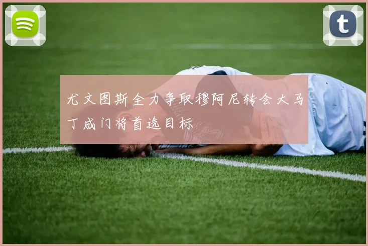 尤文图斯全力争取穆阿尼转会大马丁成门将首选目标