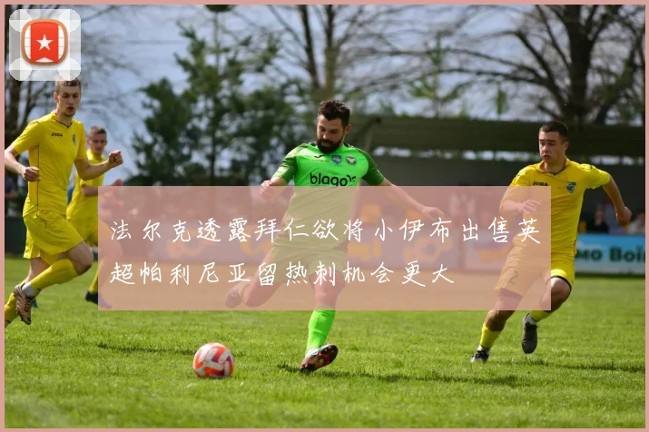 法尔克透露拜仁欲将小伊布出售英超帕利尼亚留热刺机会更大